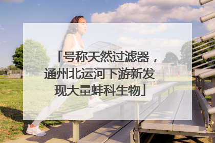 号称天然过滤器，通州北运河下游新发现大量蚌科生物